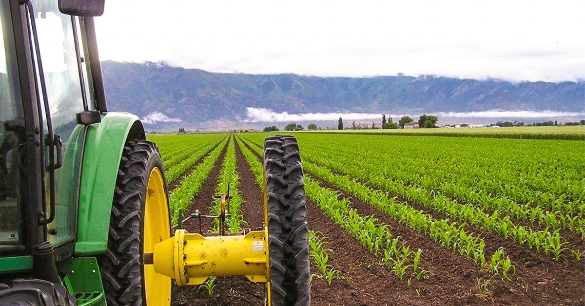 abamectin-effect-on-crops