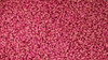 Thiamethoxam30%FS